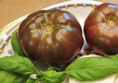 Caribou Seed Company: Brandywine Tomato *50 Heirloom Seeds* Fresh Organic  Seed - Extremely Large Fruit : : Patio, Lawn & Garden