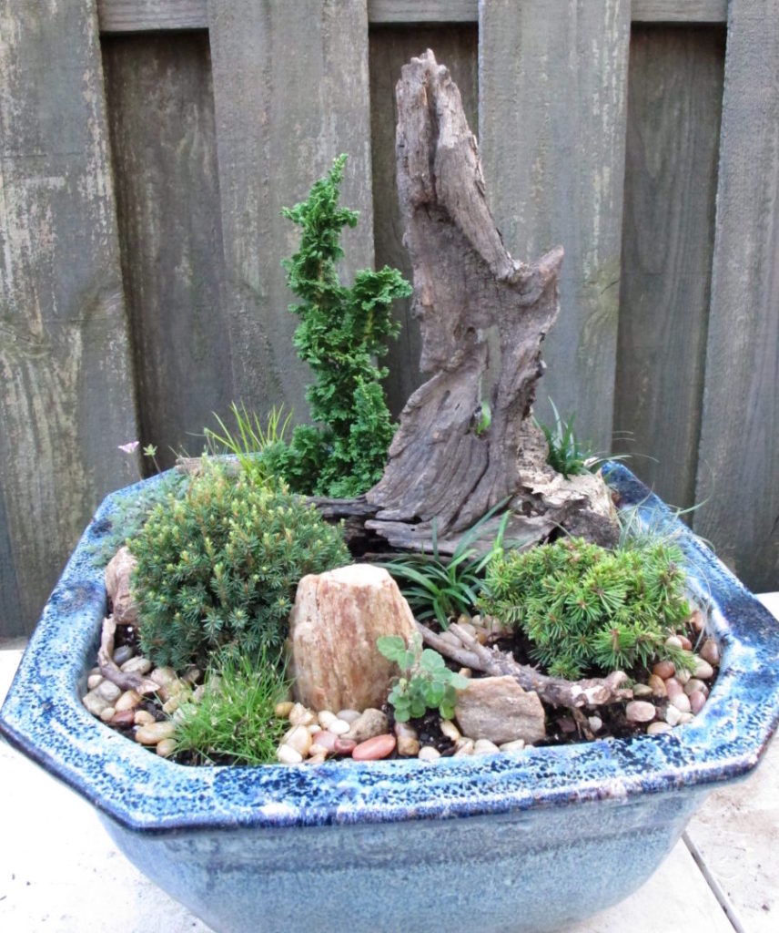 miniature garden