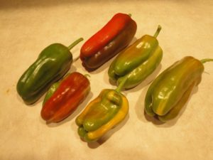 'Candy Cane' peppers